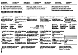 RZASG100-140MV1, RZASG100-140MY1_2P472847-2_Safety declaration of conformity download